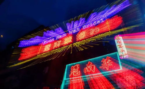 逝去的霓虹 香港濒临灭绝的视觉种族